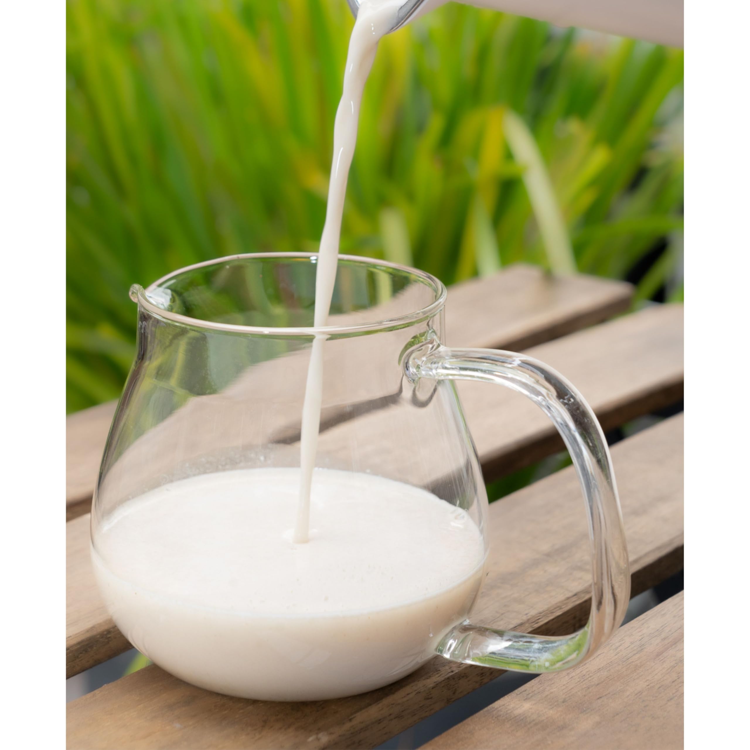 Amazon | 【ピーレチェ自家製豆乳・プラントミルク】創業百年家庭用